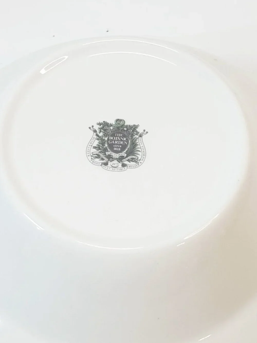 Vintage 1972 Portmeirion Botanic Garden Floral Rhododendron Soup Cereal Bowl
